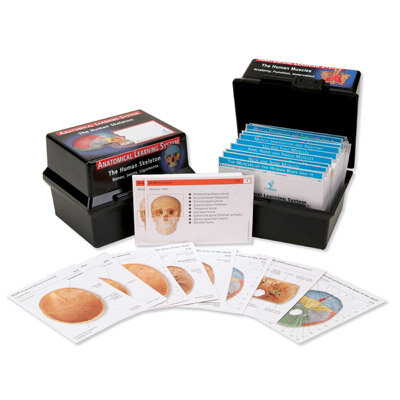 The Human Skeleton - Anatomical Learning System - Human Anatomy Flash Cards 