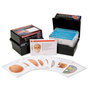 The Human Skeleton - Anatomical Learning System - Human Anatomy Flash Cards 